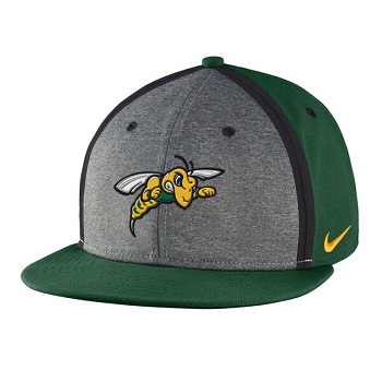 Hat Nike Player's True Sideline