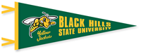 12" x 30" BHSU Pennant w/Sting