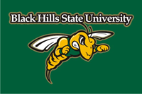 3' x 5' BHSU Flag w/Sting