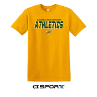 BHSU Athletics Gold