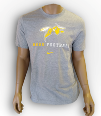 BHSU Football with Sting