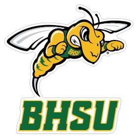 BHSU Sting Clear Decal