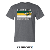 BHSU Stripes w/Sting