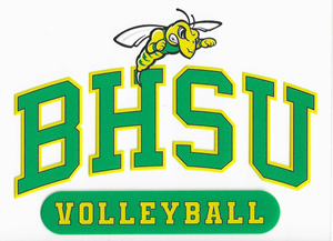 BHSU Volleyball Clear Decal - main view