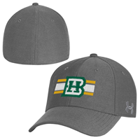 BHSU Tree Stretch Fit Hat
