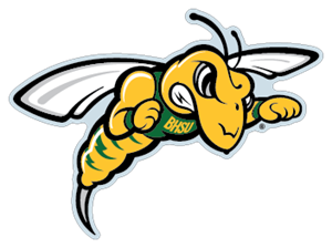 Clear Sting Decal