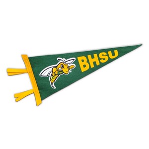 6" x 15" BHSU Pennant W/Sting - main view